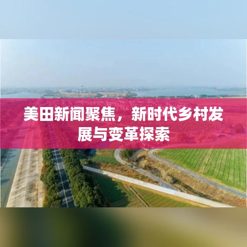 美田新闻聚焦,新时代乡村发展与变革探索