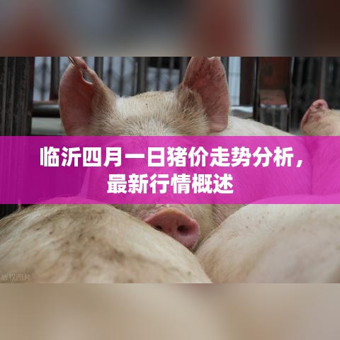 临沂四月一日猪价走势分析,最新行情概述