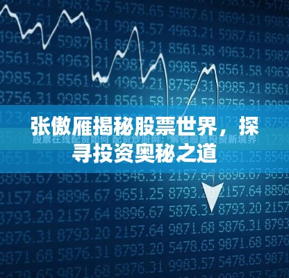 张傲雁揭秘股票世界，探寻投资奥秘之道
