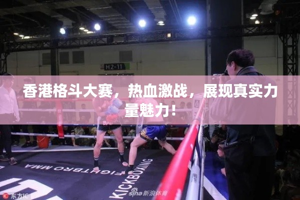 香港格斗大赛,热血激战,展现真实力量魅力!