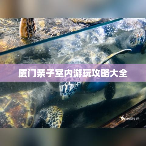厦门亲子室内游玩攻略大全