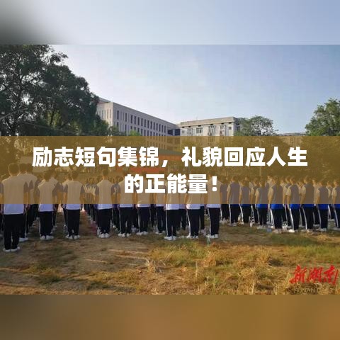 励志短句集锦，礼貌回应人生的正能量！