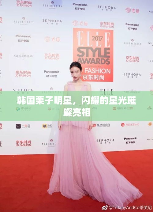 韩国栗子明星，闪耀的星光璀璨亮相