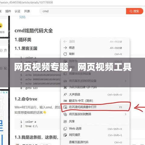 网页视频专题,网页视频工具