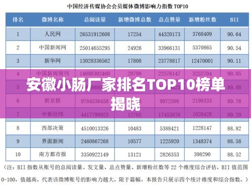 安徽小肠厂家排名TOP10榜单揭晓