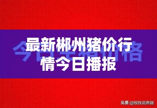 最新郴州猪价行情今日播报