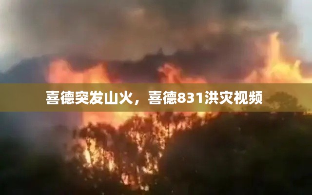贵人善忘