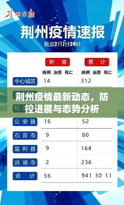 荆州疫情最新动态,防控进展与态势分析