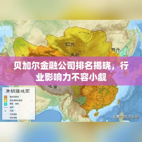 贝加尔金融公司排名揭晓，行业影响力不容小觑