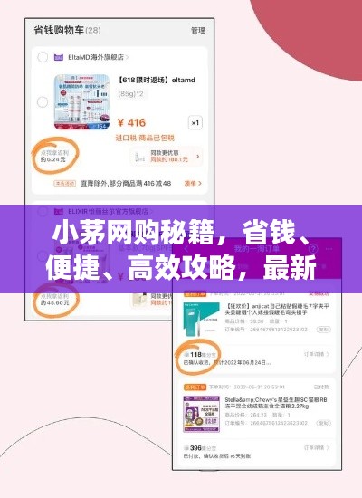 小茅网购秘籍，省钱、便捷、高效攻略，最新购物指南一网打尽！