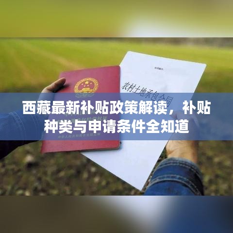 西藏最新补贴政策解读，补贴种类与申请条件全知道