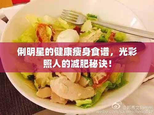 俐明星的健康瘦身食谱,光彩照人的减肥秘诀!