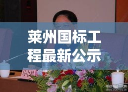 莱州国标工程最新公示公告揭秘,最新动态速览