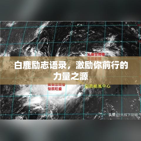 白鹿励志语录,激励你前行的力量之源