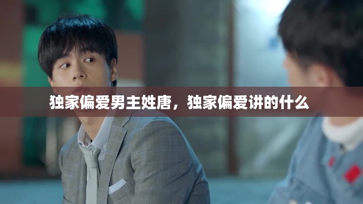 独家偏爱男主姓唐,独家偏爱讲的什么