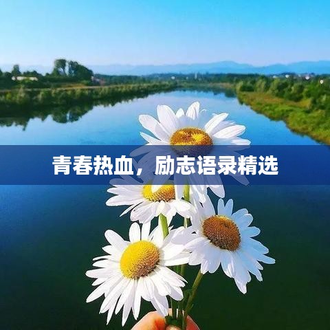 青春热血，励志语录精选