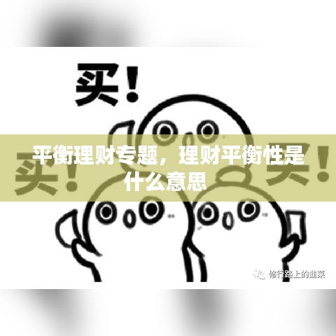平衡理财专题,理财平衡性是什么意思