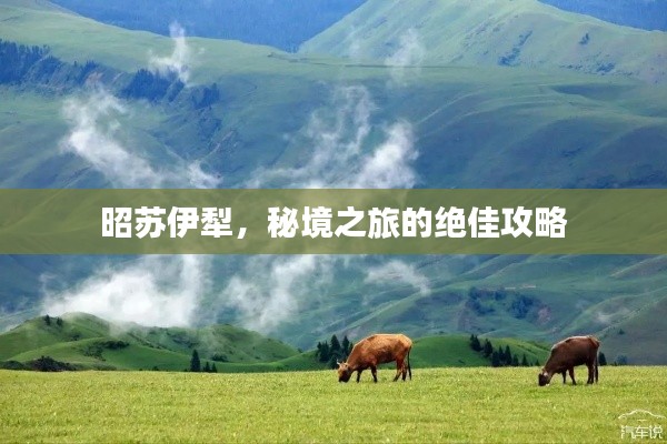 昭苏伊犁,秘境之旅的绝佳攻略