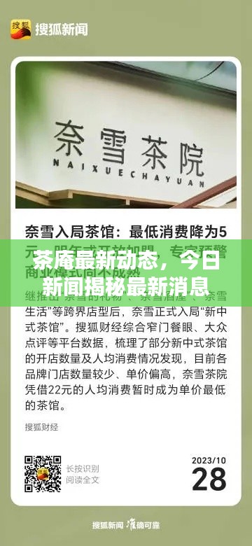 茶庵最新动态,今日新闻揭秘最新消息