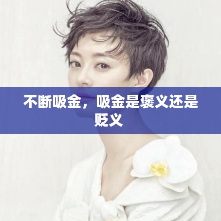 不断吸金，吸金是褒义还是贬义 