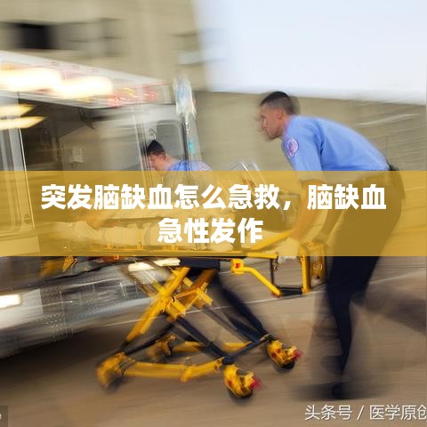 突发脑缺血怎么急救，脑缺血急性发作 