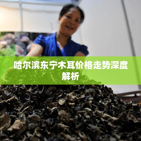 哈尔滨东宁木耳价格走势深度解析