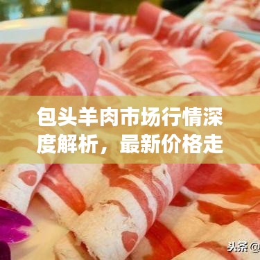 包头羊肉市场行情深度解析,最新价格走势一网打尽!