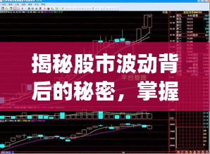揭秘股市波动背后的秘密,掌握股票涨跌奥秘!