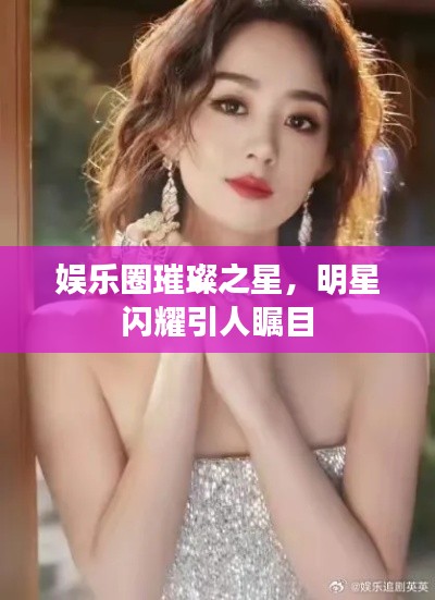 娱乐圈璀璨之星,明星闪耀引人瞩目