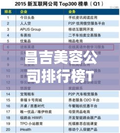 昌吉美容公司排行榜TOP及行业深度分析