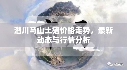 第562页