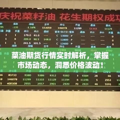 菜油期货行情实时解析,掌握市场动态,洞悉价格波动!